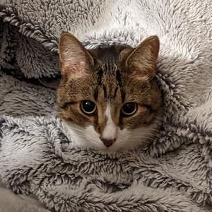 Meet your Posher, Marilyn